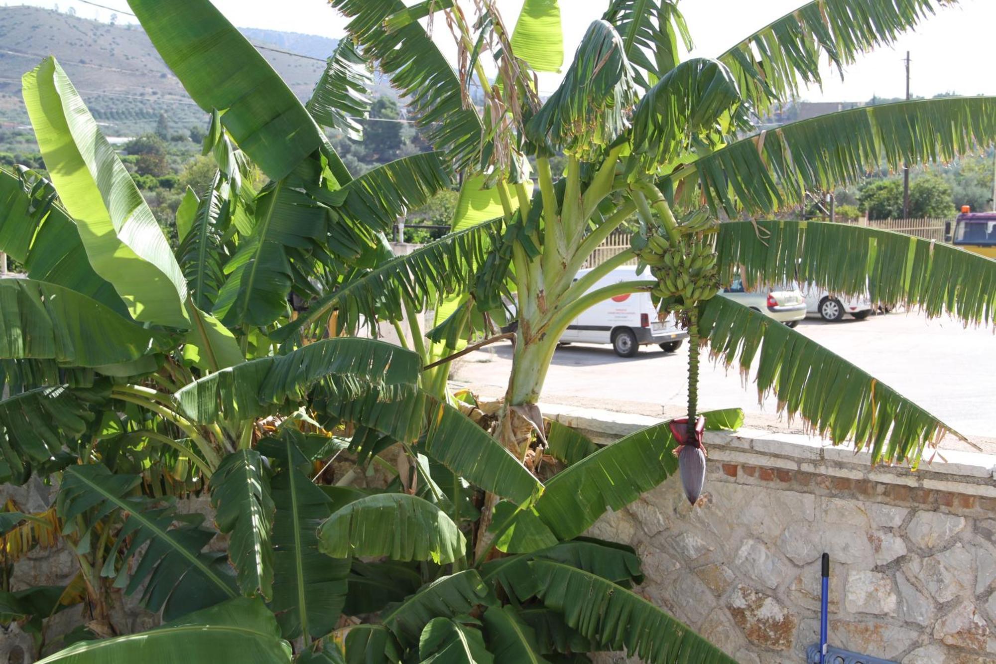 Apartment αριων Village &