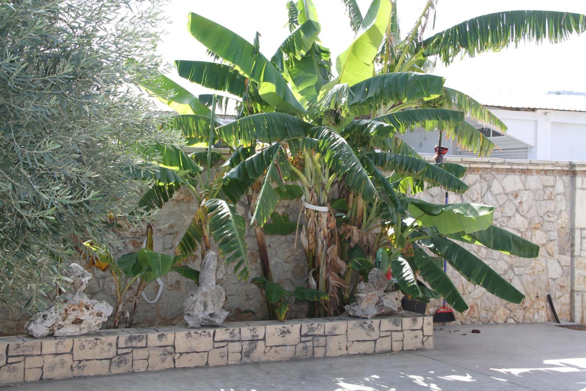 αριων Village&suites *